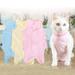 SPRING PARK Pet Dogs Cat Recovery Suit Surgery Wound Protector Clothes Licking Vest Coat