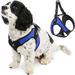 Gooby Escape Free Easy Fit Harness - Blue Large - Escape Free Step-In Harness with Neoprene Body for Small Dogs and Medium Dogs Indoor and Outdoor use