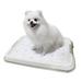 PAWISE Indoor Dog Potty Training Pad Holder Small