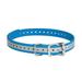 SportDOG Brand 3/4 Inch Collar Straps - Waterproof and Rustproof - Tighlty Spaced Holes for Proper Fit -Reflective Blue