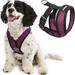 Gooby Comfort X Head-In Harness - Purple X-Large - Breathable Lightweight Wrinkle Free Mesh Harness with Patented Choke-Free X Frame for Small Dog and Medium Dog Indoor and Outdoor use