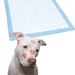 Puppy Pads - Pet Training Pads 4-ct. Packs - ABSORB & NEUTRALIZE Urine Instantly - 2 Pack - Lavender Scented