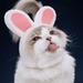 Shulemin Rabbit Ear Shape Headgear Hat Dog Teddy Bichon Cat Cosplay Pet Headdress White