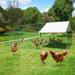 20x10ft Large Metal Chicken Coops Walk in Pet House Chicken Nesting Bunny Rabbit Hutch with Waterproof Cover for Backyard
