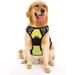 rabbitgoo Dog Harness No-Pull Pet Harness with 2 Leash Clips Adjustable Soft Padded Dog Vest Reflective Outdoor Pet Oxford Vest with Easy Control Handle for Large Dogs Green