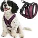 Gooby Comfort X Head-In Harness - Purple Small - Breathable Lightweight Wrinkle Free Mesh Harness with Patented Choke-Free X Frame for Small Dog and Medium Dog Indoor and Outdoor use