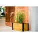 Vita Mezza 24 L x 12 W x 11 H Cedar Planter Golden Brown VT17728