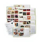 American Educational Products 12 Piece Minerals Study Print Set