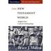 The New Testament World Third Edition Revised and Expanded (Paperback)