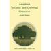 Studies in Natural Language and Linguistic Theory: Anaphora in Celtic and Universal Grammar (Hardcover)