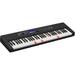 Casio LK-S450 61-Key Touch-Sensitive Portable Keyboard with Lighted Keys LK-S450