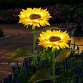 Outdoor Sunflower Garden Solar Lights 2 Pack LED Solar Decorative Stake Lights Solar Powered Lighting Landscape Waterproof for Patio Lawn Garden Yard Pathway Decoration