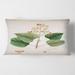 Designart 'Vintage London Plants XII' Farmhouse Printed Throw Pillow