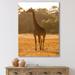 East Urban Home African Giraffe in the Wild II - Photograph on Canvas Metal in Brown | 32 H x 24 W x 1 D in | Wayfair