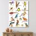 East Urban Home Vibrant Colored Birds Plancard - Print on Canvas Metal in Brown/Green | 32 H x 16 W x 1 D in | Wayfair