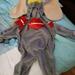 Disney Other | Dumbo Costumes | Color: Blue/Gray | Size: Various