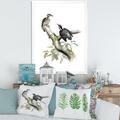 East Urban Home Vintage Birds in the Wild VIII - Graphic Art on Canvas Metal in Gray/Green | 40 H x 30 W x 1.5 D in | Wayfair