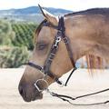 SmartPak Combo Bridle - Horse - Dark Oiled - Smartpak