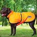 Weatherbeeta 300D Deluxe Reflective Dog Parka - 20 - Orange - Smartpak