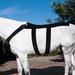 Ice Horse Back Blanket Wrap - Pony - M - Smartpak