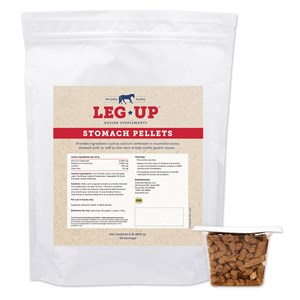 Leg Up Stomach Pellets - 16 lb Equine Ulcer Medication & Gastric Health Supplements