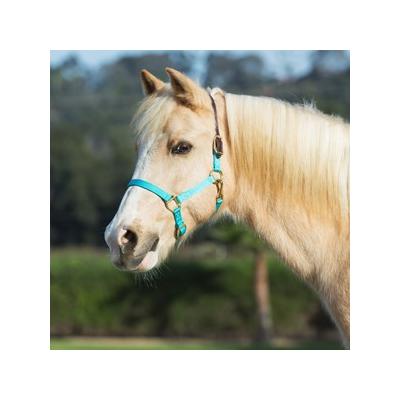 SmartPak Leather Crown Pony/Mini Halter - Mini - Turquiose - Smartpak