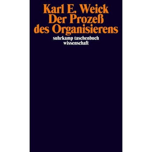Der Prozeß Des Organisierens - Karl E. Weick, Taschenbuch