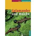 Salamander Und Molche - Kurt Rimpp, Gebunden