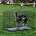 Archie & Oscar™ Laroche Dog Pet Crate Metal in Black | 32 H x 48 W x 30 D in | Wayfair ADFE557649AC44CC8451129C7B3716A6