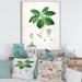 East Urban Home Vintage Botanicals V - Painting on Canvas Metal in Green | 32 H x 24 W x 1 D in | Wayfair EB0F25F097814C38A8AA17141A573022