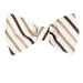 Men's Brown Taupe Ecru Silk Self Tie Bowtie Tie Yourself Bow Ties