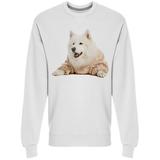 Cute Samoyed Dog In Warm Sweater Sweatshirt Men's -Image by Shutterstock