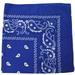 Pack of 30 Daily Basic 100% Polyester 22 x 22 Paisley Printed Bandanas