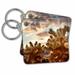 3dRose Sunset over Cholla Cactus, Mojave Desert, Joshua Tree NP, California - Key Chains, 2.25 by 2.25-inch, set of 2