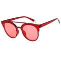 Double Bridge Round Sunglasses Round Sunglasses for Women Men Classic Vintage Retro Designer Style