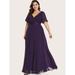 Women's Plus Size Flutter Sleeve Pleated Chiffon Dress