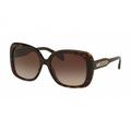 Michael Kors Smoke Gradient Butterfly Ladies Sunglasses MK2081 300613 56