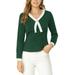 Allegra K Women's Elegant Contrast Color V Neck Long Sleeve Blouse Top