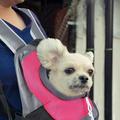 Zyooh Pet Carrier Soft Sided Portable Airplane Tote Bag Backpack Breathable Pet Bag