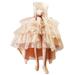 Little Girls Champagne High Low Lace Flower Special Occasion Dress