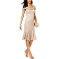 R&M Richards Womens Metallic Lace Midi Dress