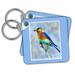 3dRose Bluebird wildlife Digital Oil Painting of bird - Key Chains, 2.25 by 2.25-inch, set of 2