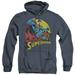 DC Comics Big Blue Adult Heather Hoodie Sweatshirt Navy