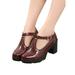 Avamo Women's Dress Pumps Comfort Sole Round Toe Chunky Heel Block Heel Retro Brogue Lolita Oxford Shoes