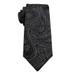 Wembley Wintar Paisley Necktie