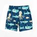 Boys Swim Trunks, UPF 50+ Quick Dry Striped Boys Swim Shorts, Boys Bathing Suit