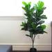 4ft Artificial Fiddle Leaf Fig Tree Plant in Black Pot - 46" H x 24" W x 15" DP