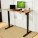 FLEXISPOT 48"x24" Home Office Electric Height Adjustable Standing Desk Sit Stand Desk Natural Bamboo Desk Top