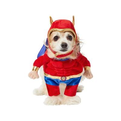 Frisco Front Walking Superhero Dog & Cat Costume, X-Large