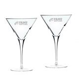 Florida A&M Rattlers 2-Piece 10oz. Luigi Bormioli Titanium Martini Glass Set